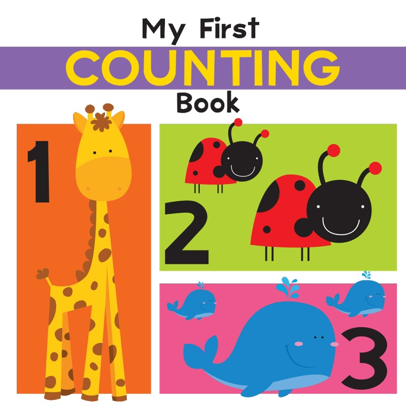 My First Counting Book book cover