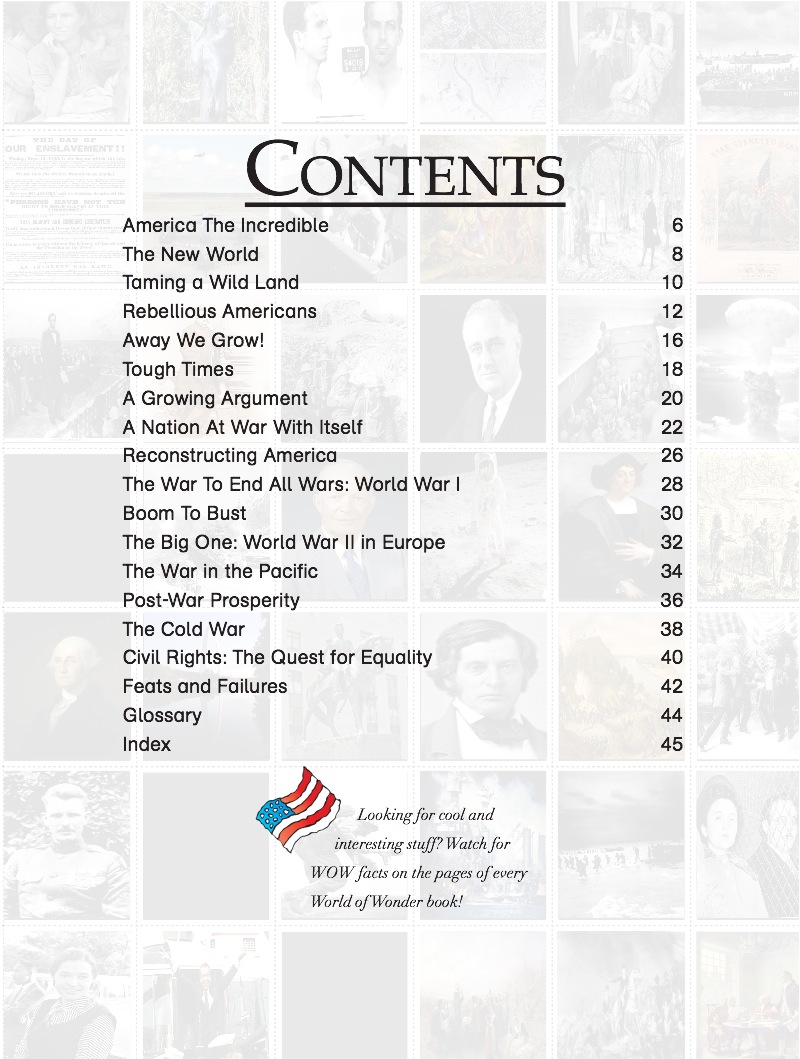 Amazing America book cover