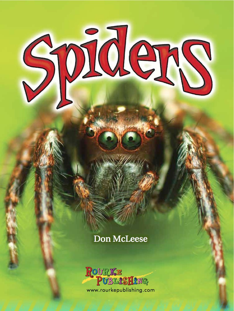 Eye to Eye With Animals: Spiders book cover