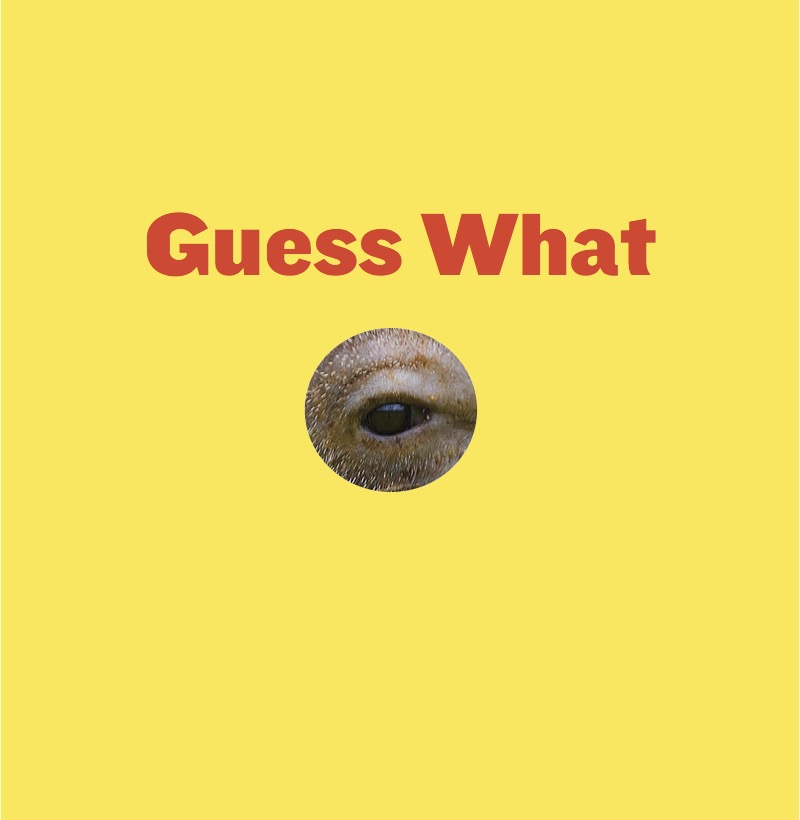 Sneaky Snouts book cover