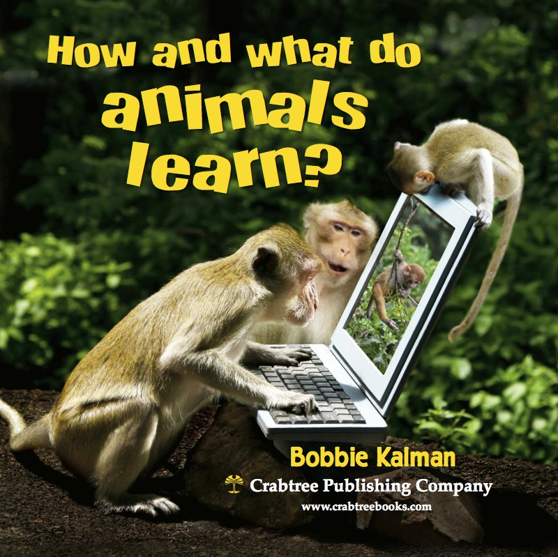How and what do animals learn? book cover