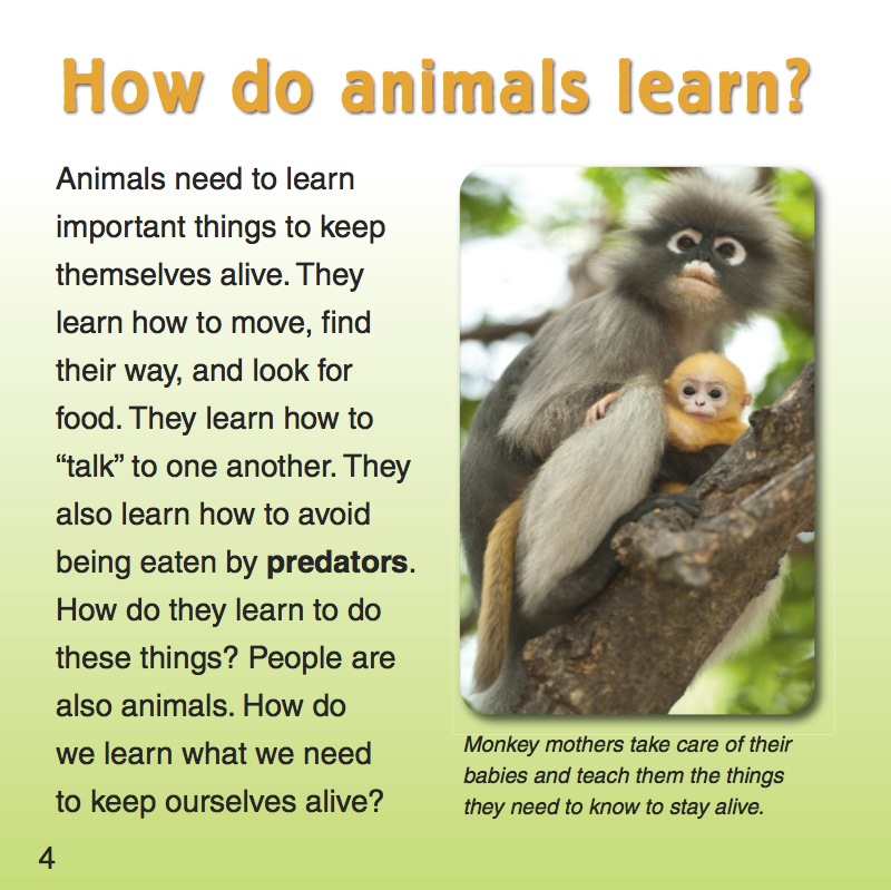How and what do animals learn? — page 1