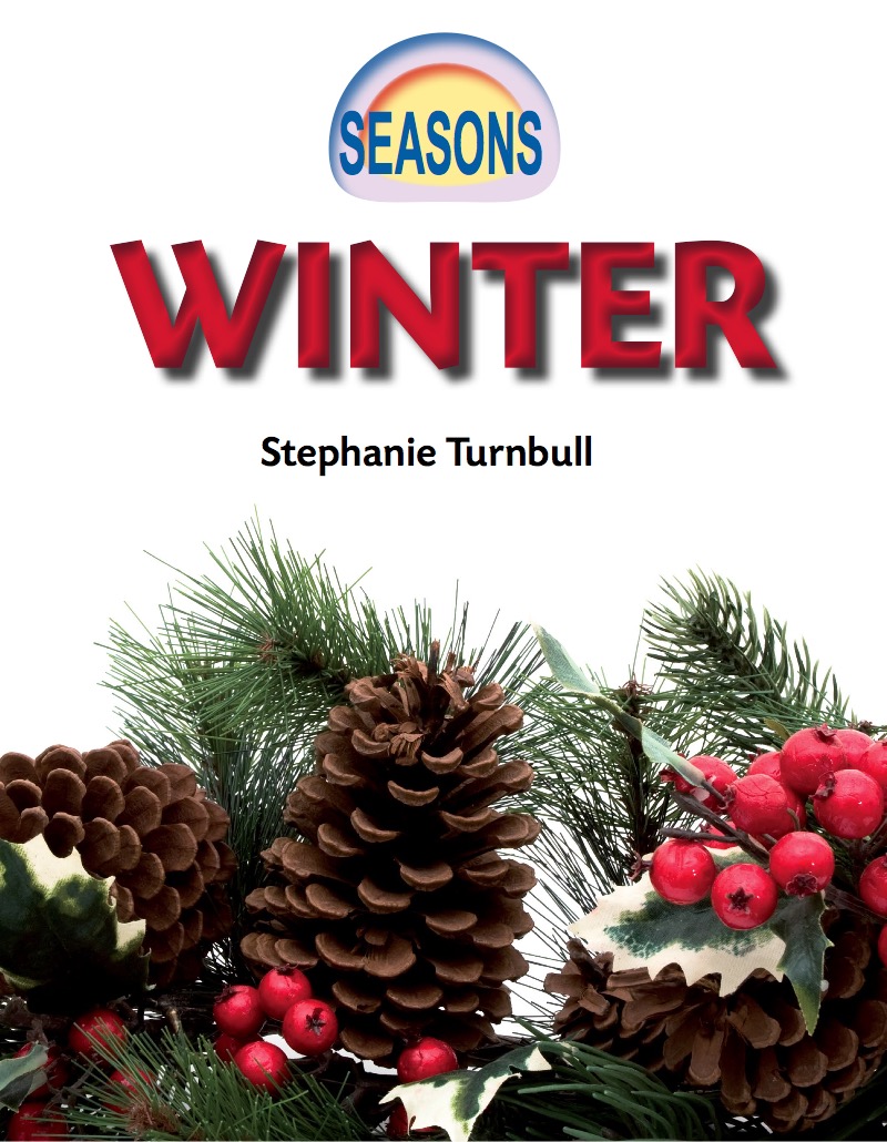 Winter book cover