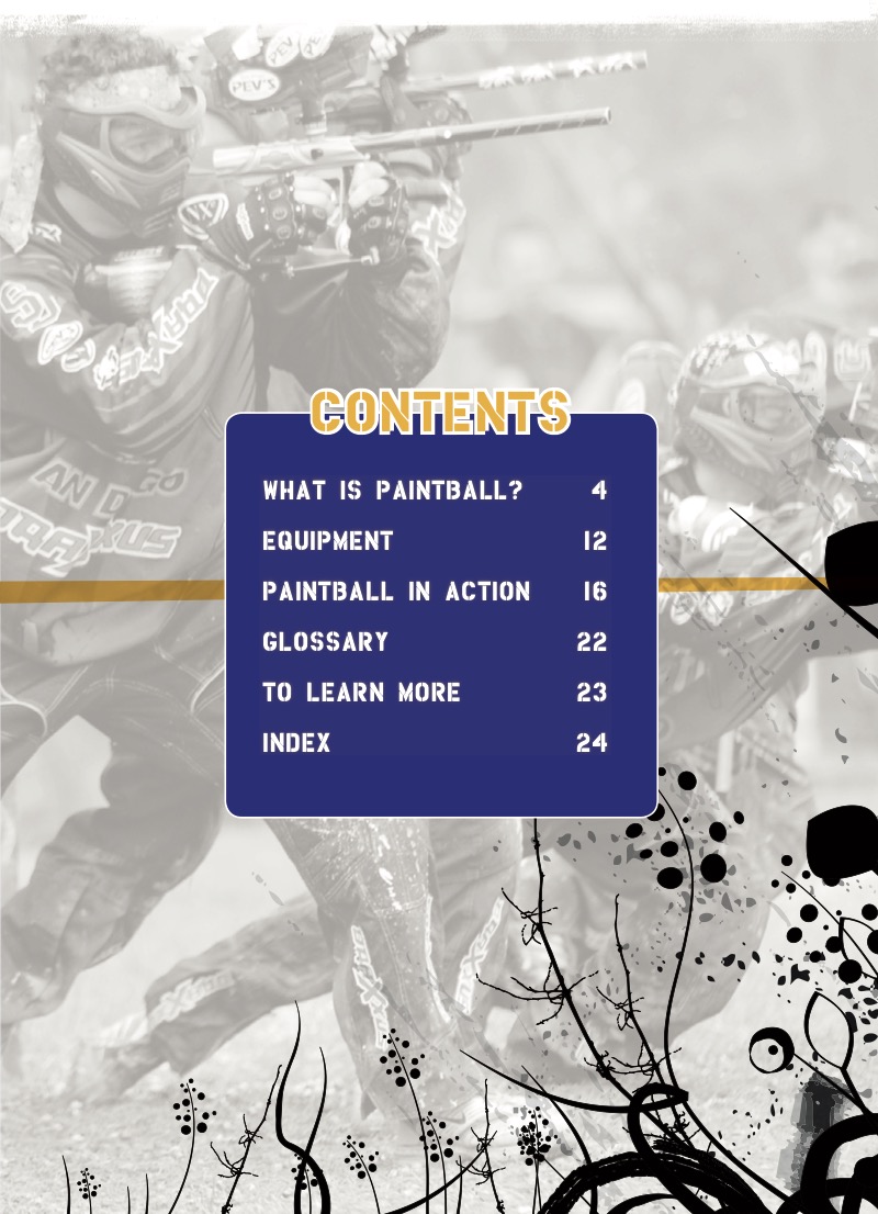 Paintball book cover