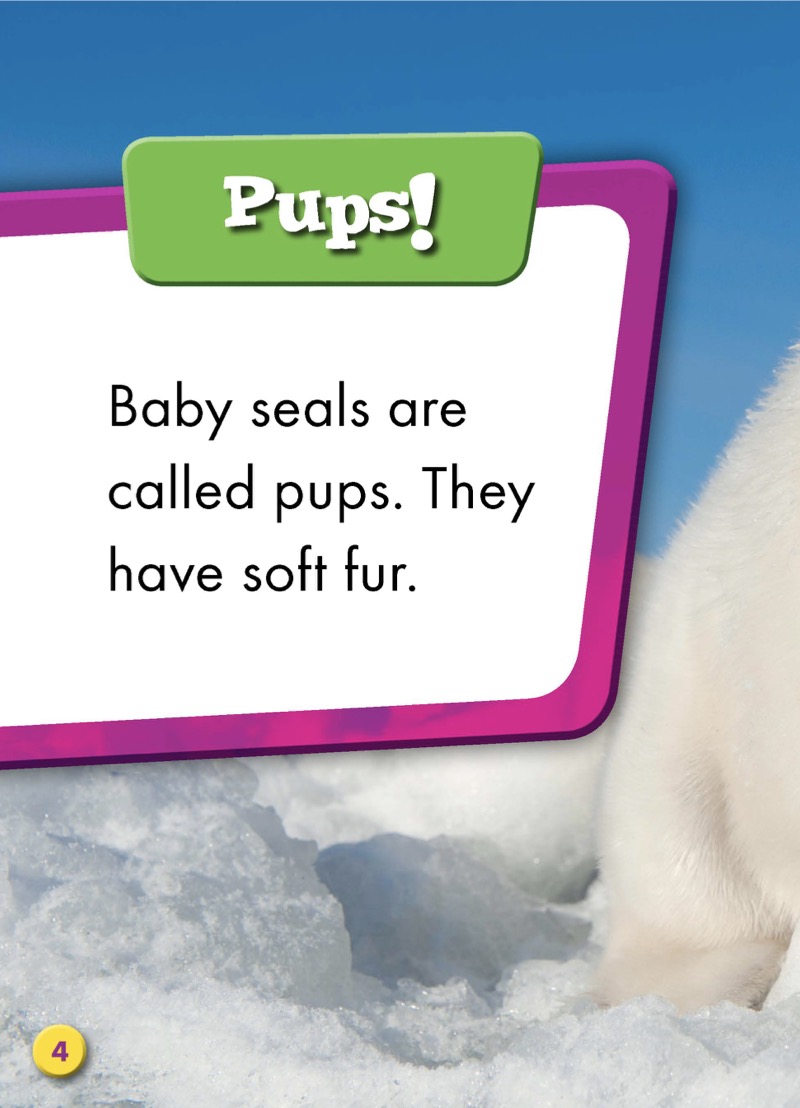 Super Cute! Baby Seals — page 1