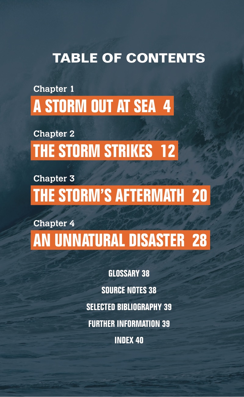 Hurricane Katrina and the Flooding of New Orleans book cover