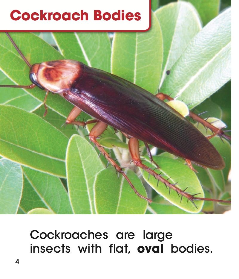 Crawling Cockroaches — page 1