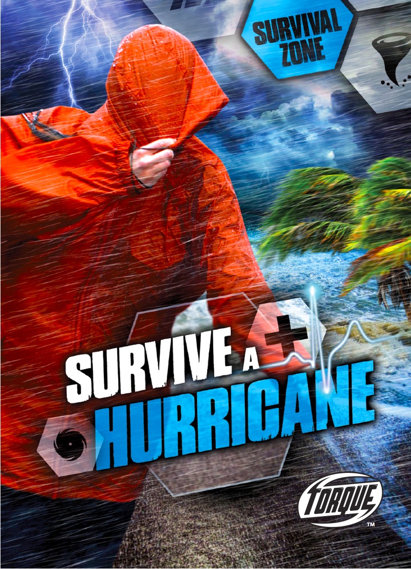 Survive A Hurricane book cover