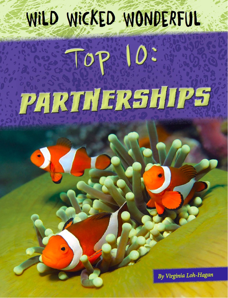 Top 10: Partnerships book cover