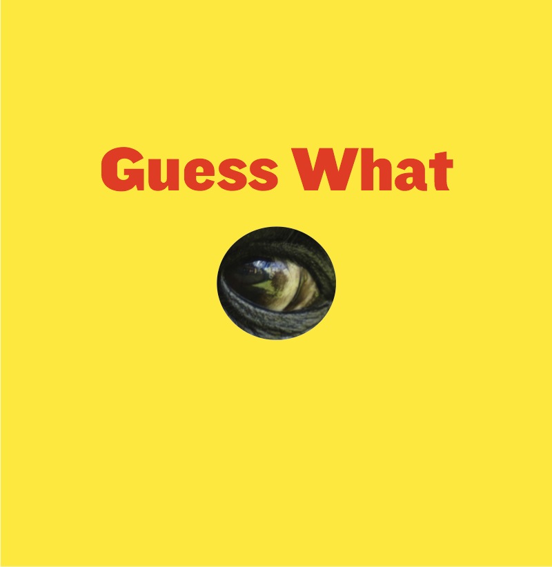 Brainy and Brawny book cover
