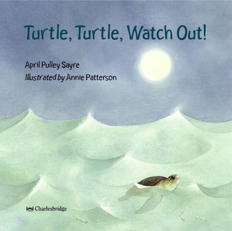 Turtle, Turtle, Watch Out! book cover