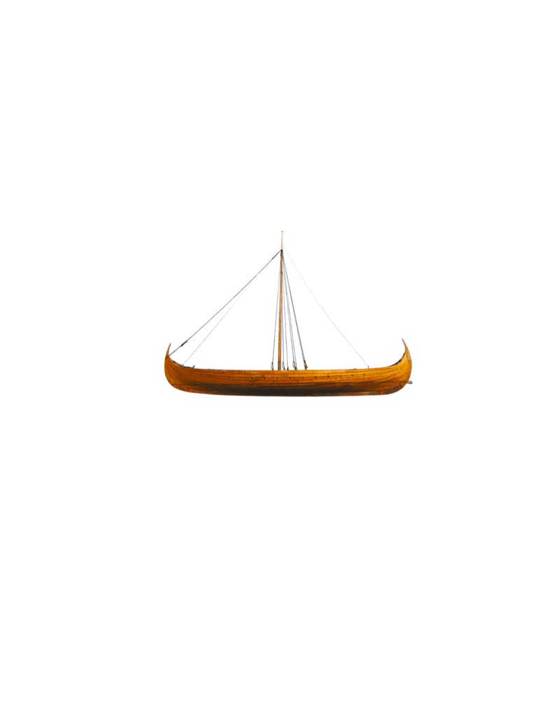 Vikings book cover
