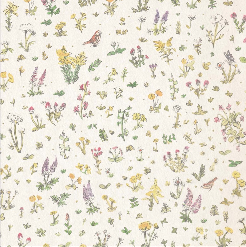 Sidewalk Flowers book cover