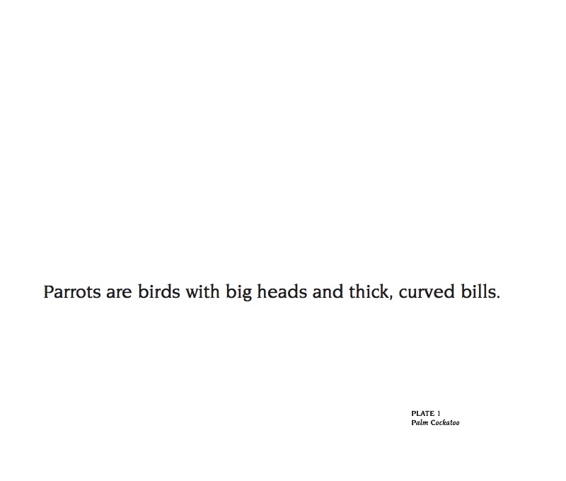 About Parrots — page 1