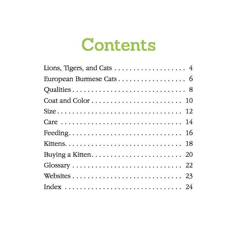 European Burmese Cats book cover