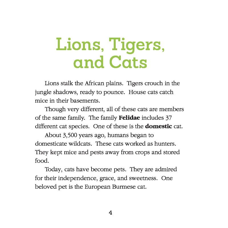 European Burmese Cats — page 1