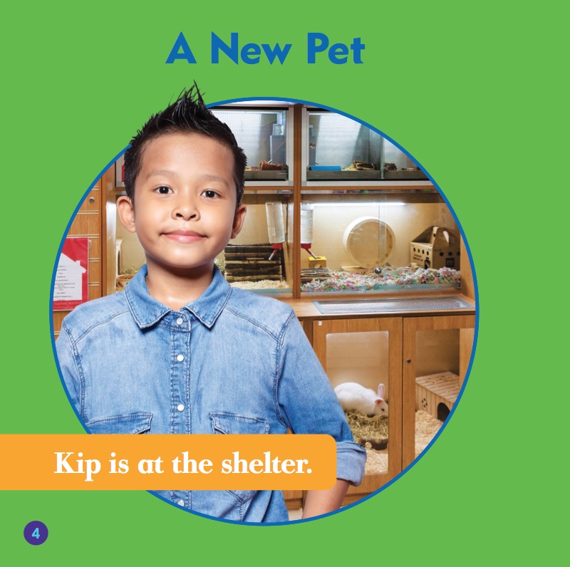 My First Pet: Gerbils — page 1