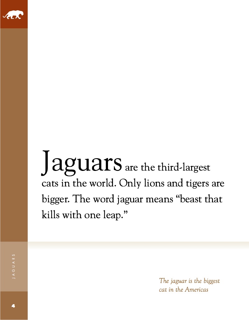 Jaguars — page 1