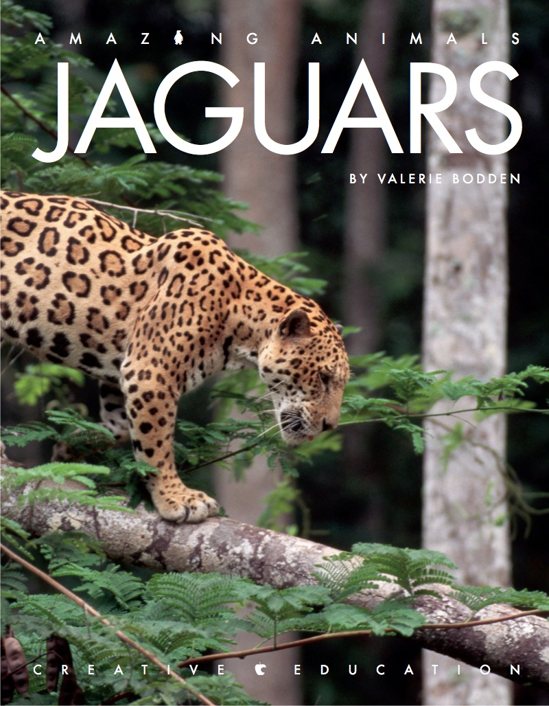 Jaguars book cover