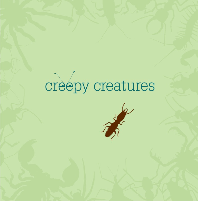 Termites book cover