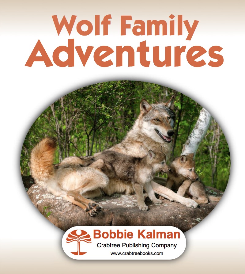 Wolf Family Adventures book cover