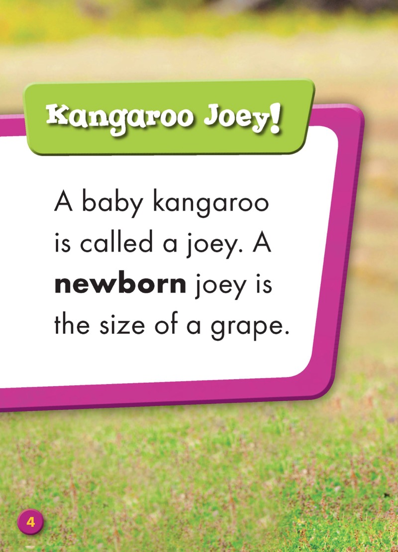 Super Cute! Baby Kangaroos — page 1