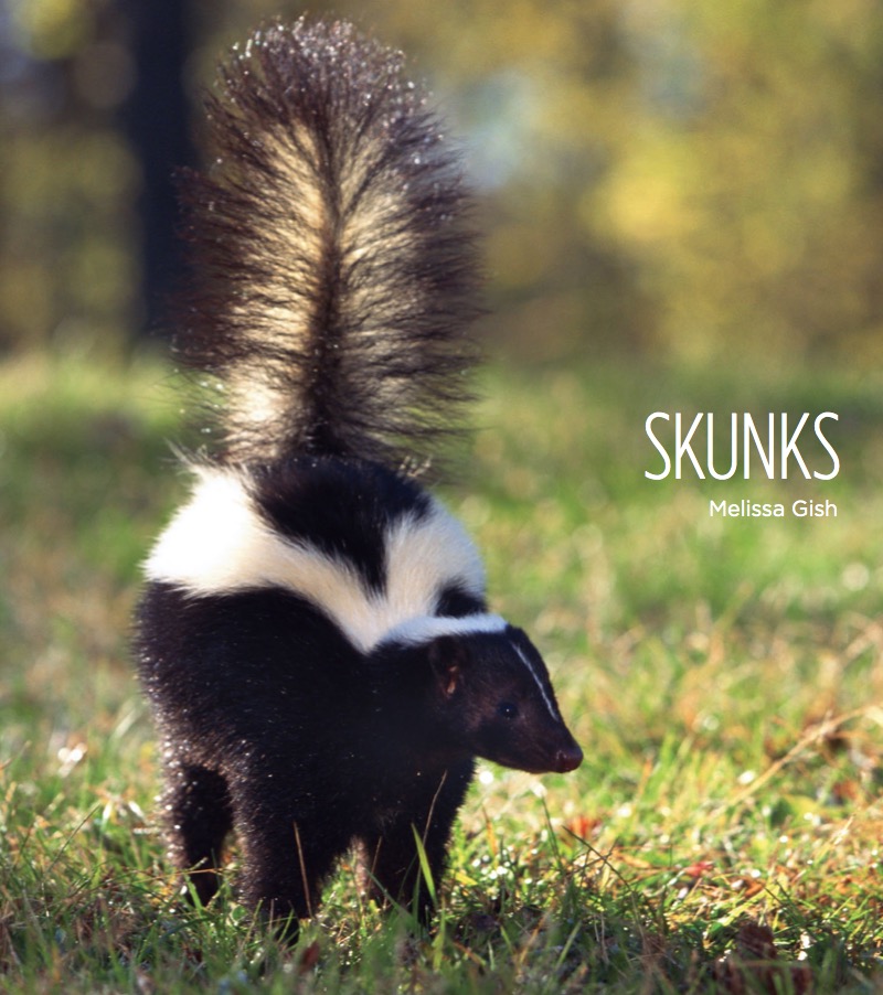 Skunks book cover