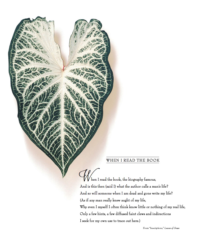 Walt Whitman book cover