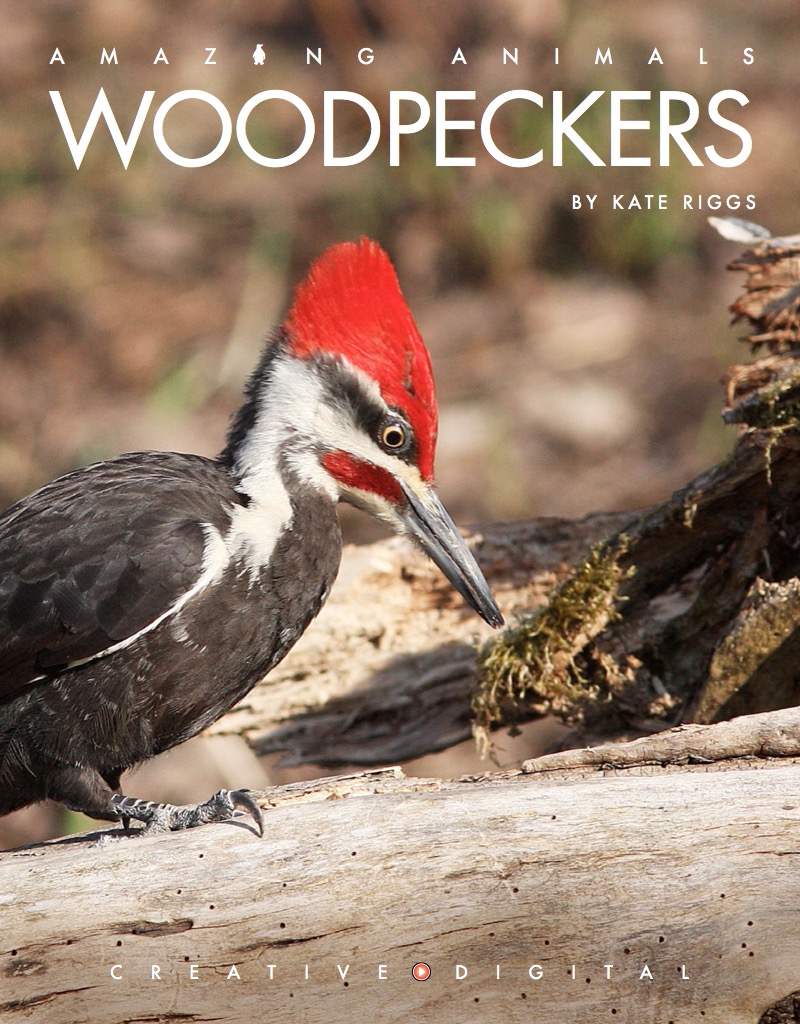 Woodpeckers book cover