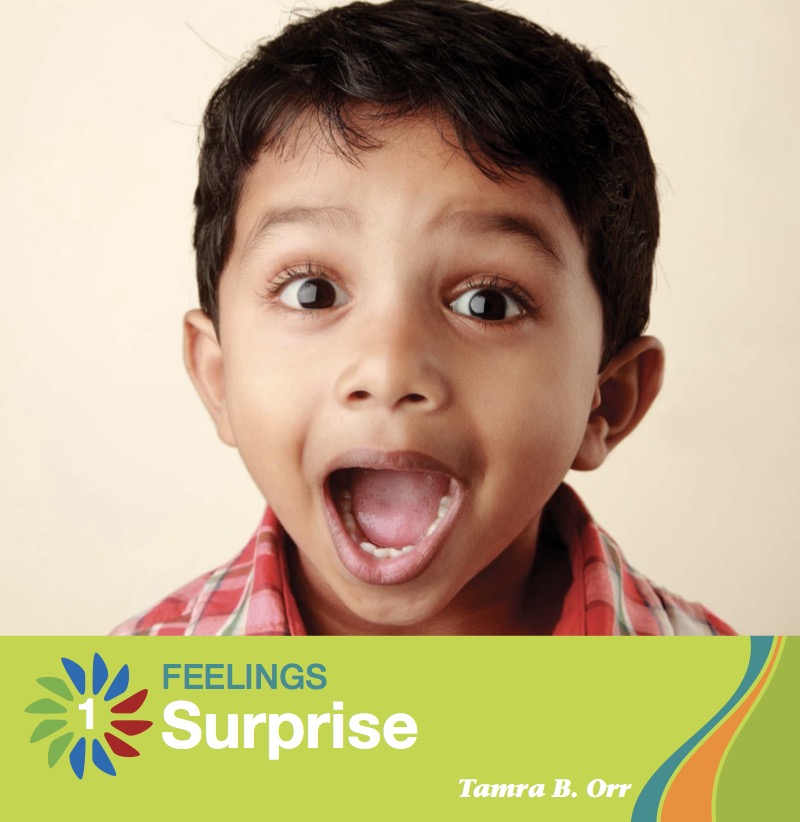 Surprise book cover