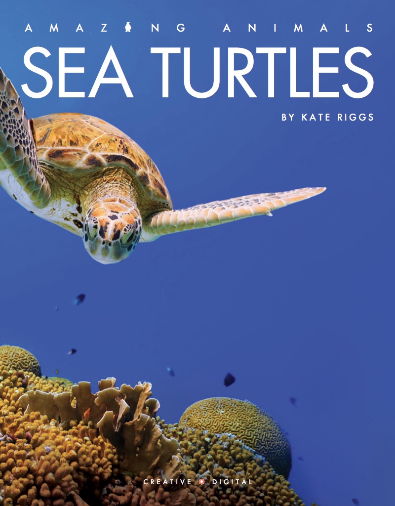 Sea Turtles book cover
