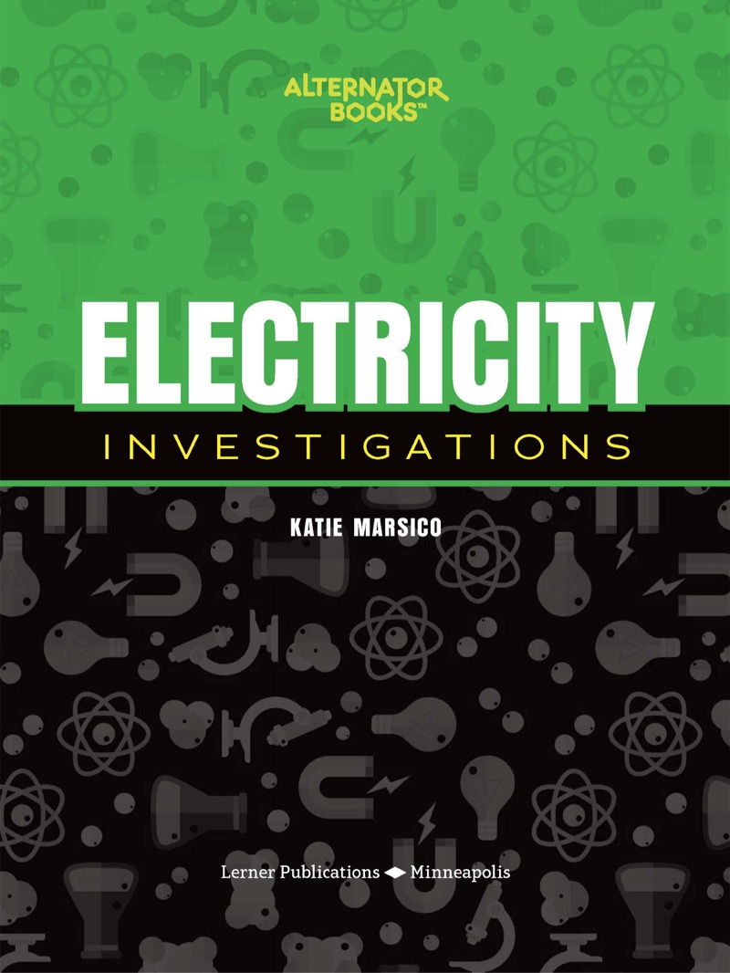 Electricity Investigations book cover