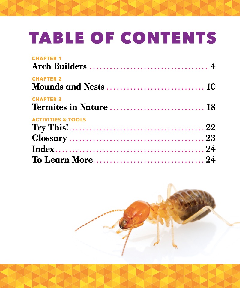 Termites book cover