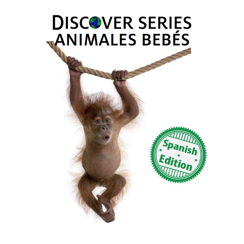 Animales Bebés book cover