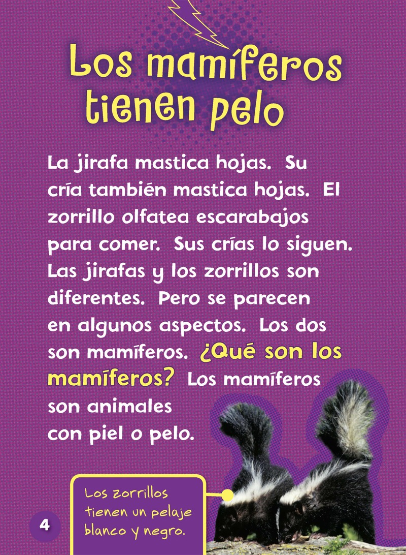 ¿Sabes algo sobre mamíferos? (Do You Know about Mammals?) — page 1