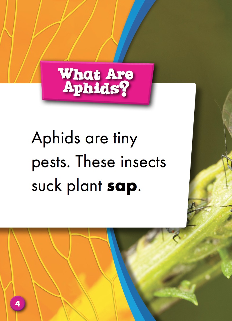 Aphids — page 1
