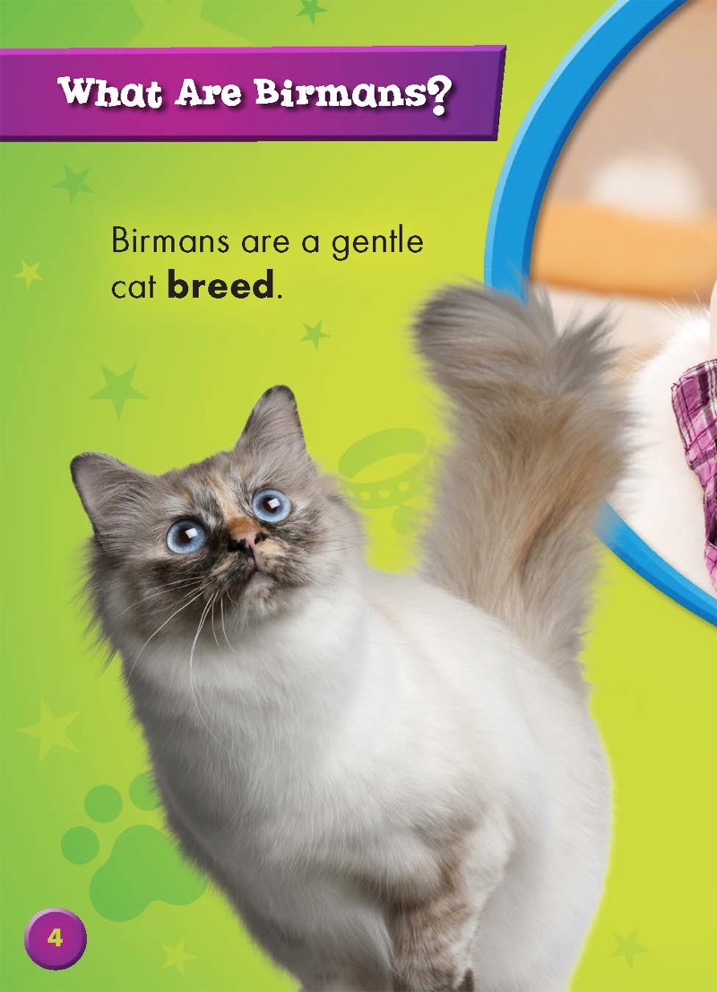 Birmans — page 1