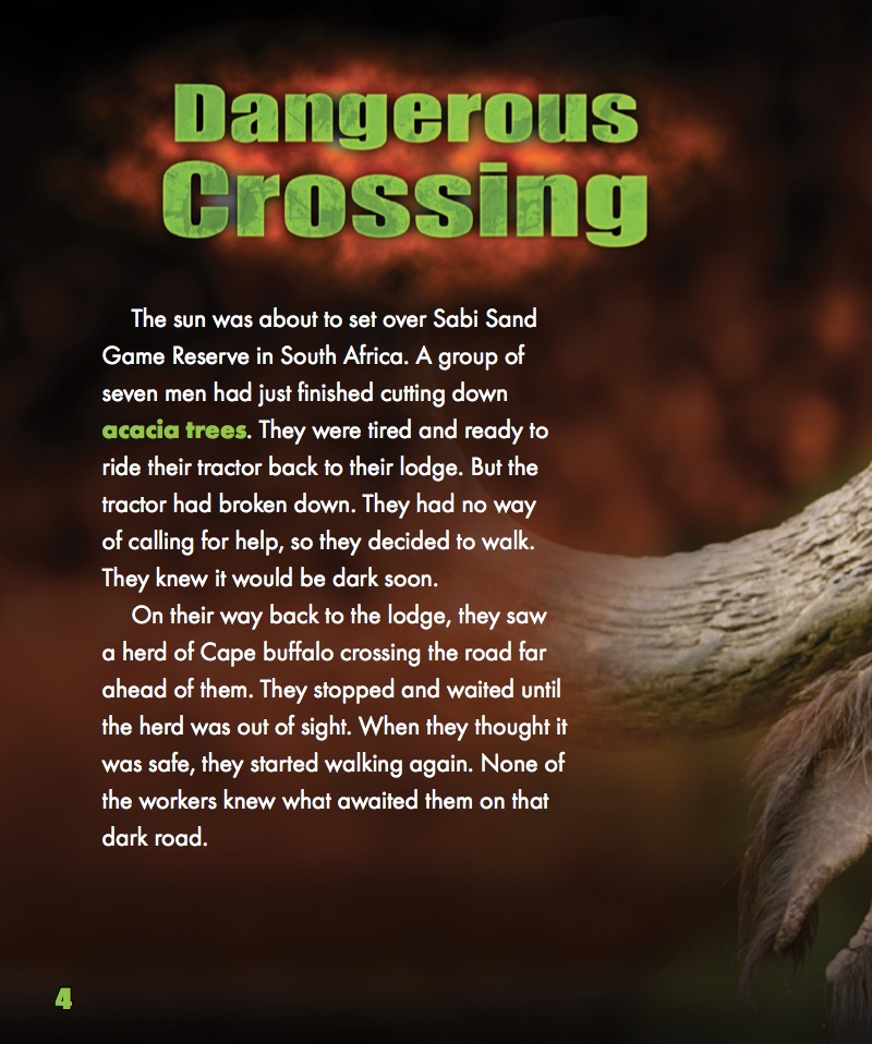 The Cape Buffalo — page 1