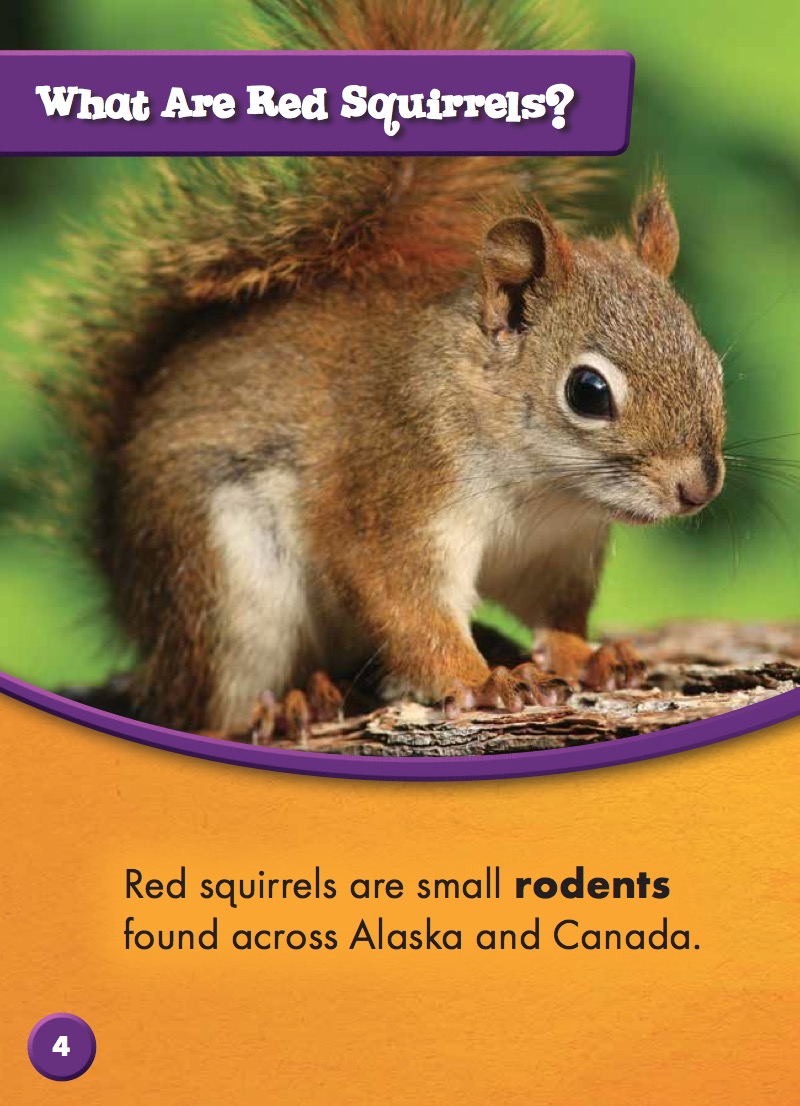 Red Squirrels — page 1