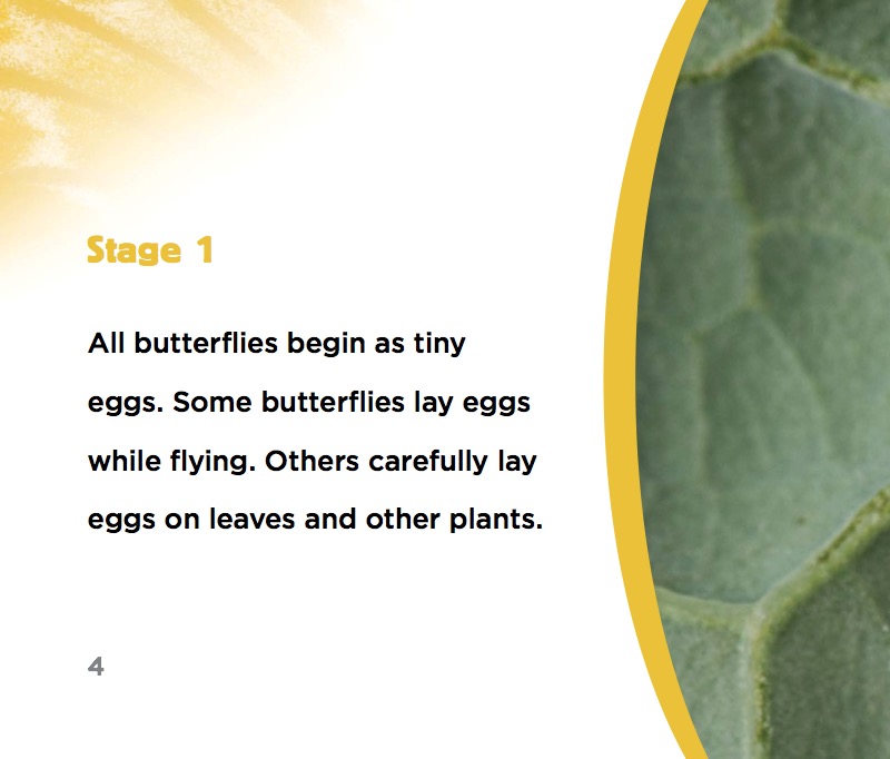 Becoming a Butterfly — page 1