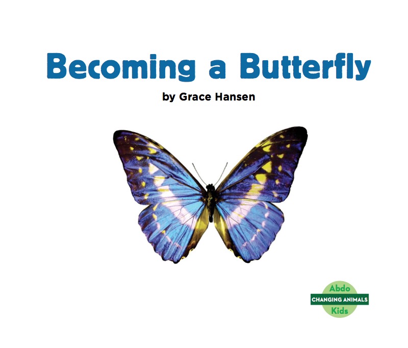 Becoming a Butterfly book cover