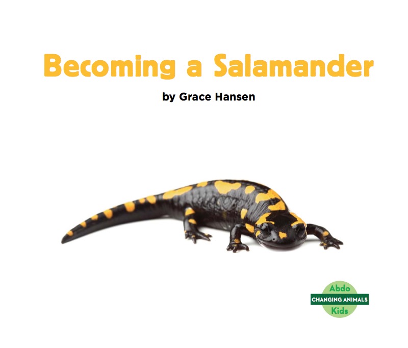 Becoming a Salamander book cover