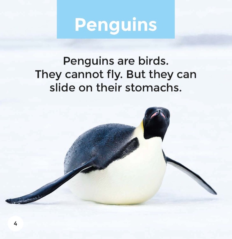 Penguins — page 1
