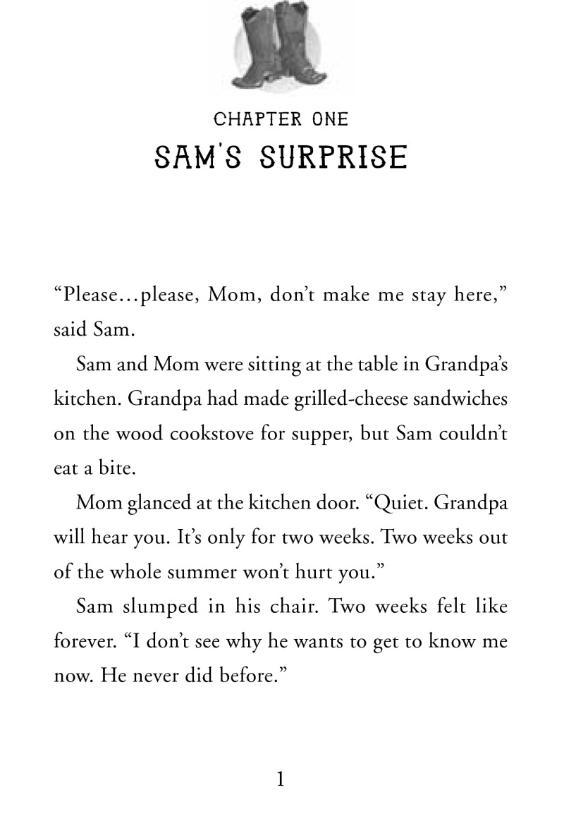 Sam's Ride book cover