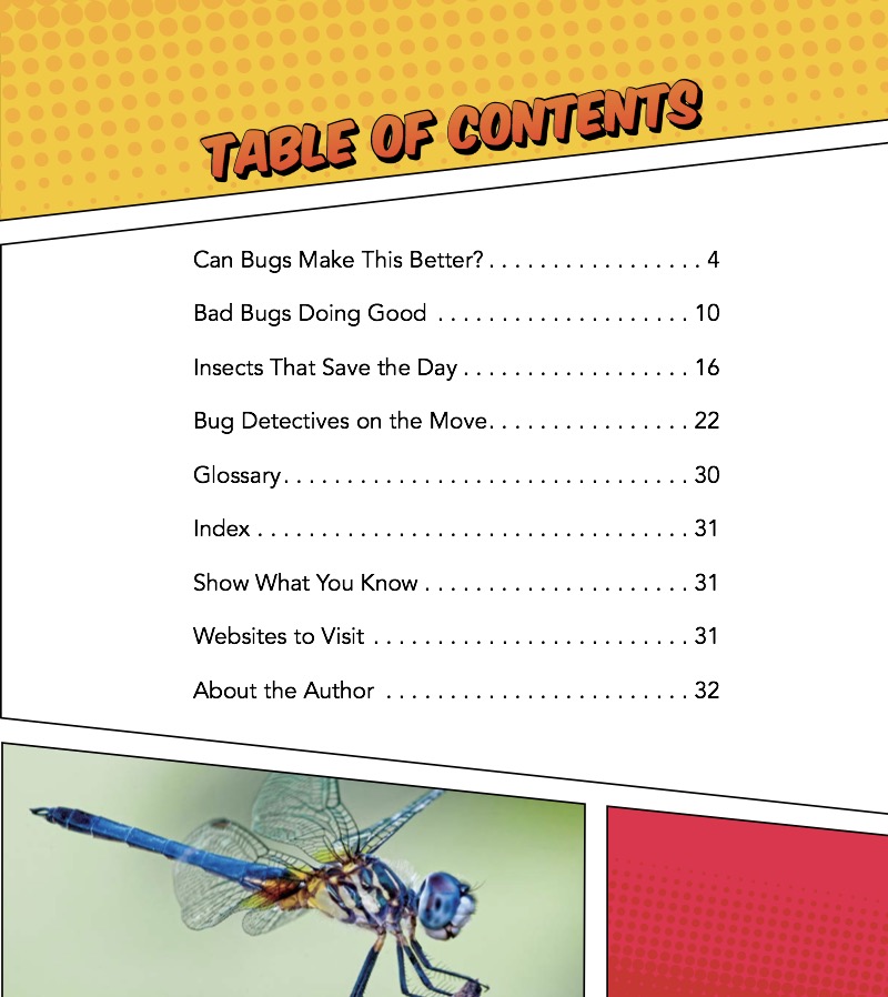 Insects as Healers book cover