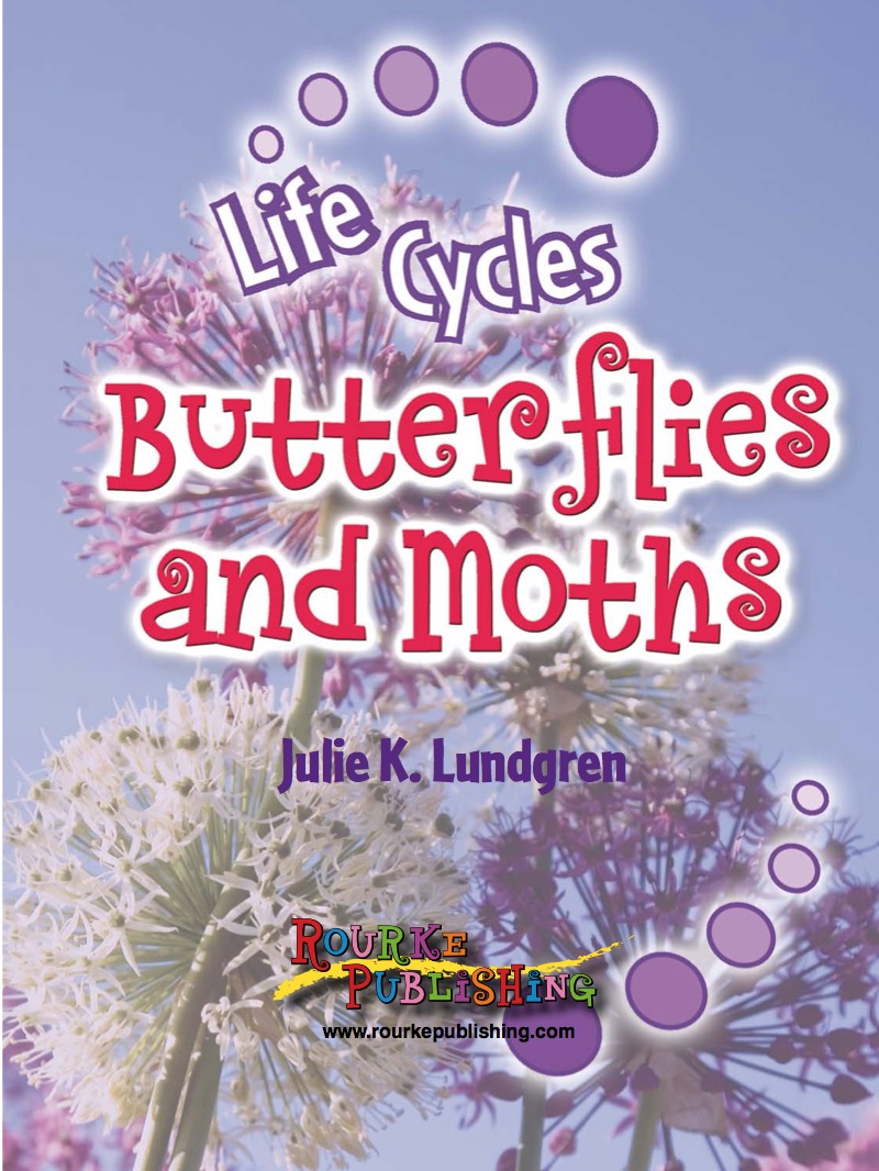 Butterflies and Moths book cover