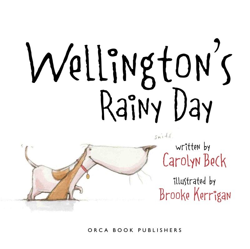 Wellington's Rainy Day book cover