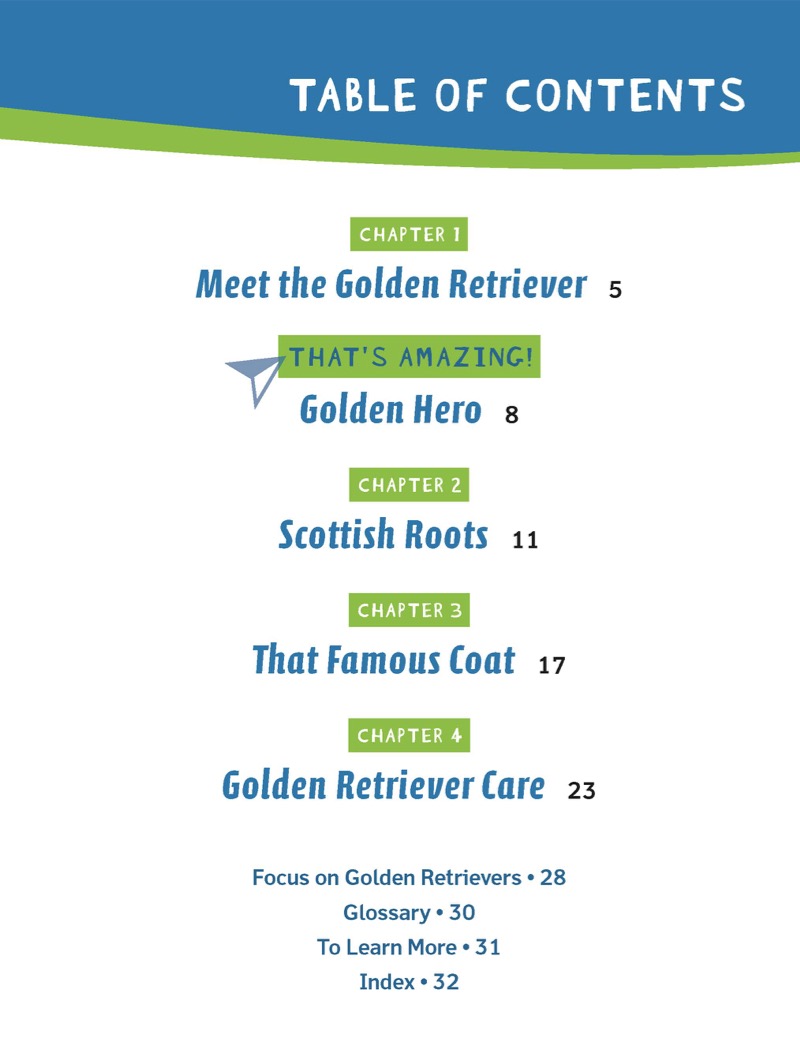 Golden Retrievers book cover