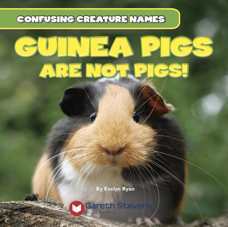 Guinea Pigs Are Not Pigs! book cover