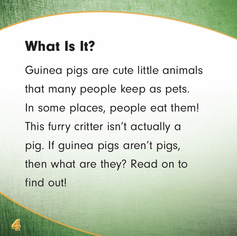 Guinea Pigs Are Not Pigs! — page 1